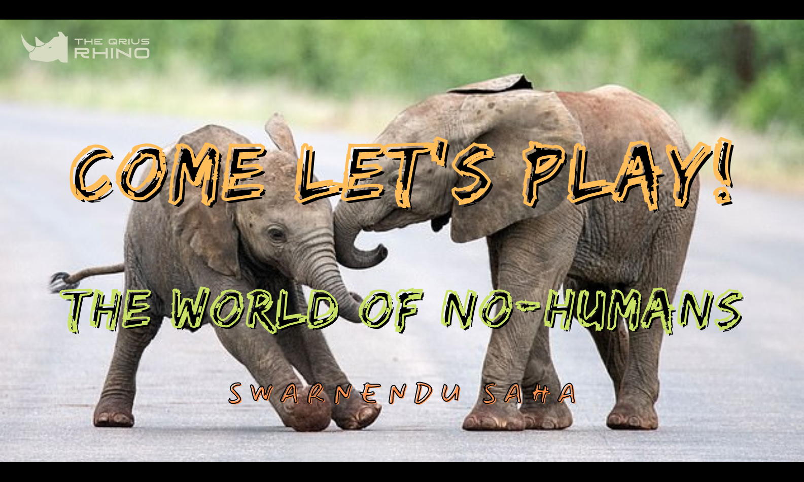 COME LET’S PLAY: THE WORLD OF NO-HUMANS - The Qrius Rhino